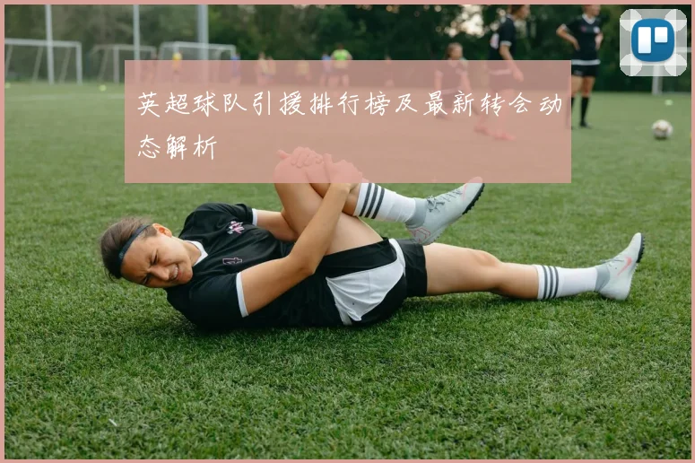 英超球队引援排行榜及最新转会动态解析