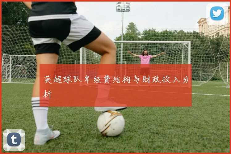 英超球队年经费结构与财政投入分析